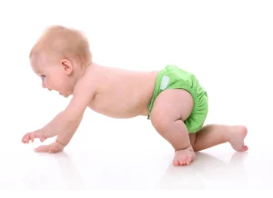 Clodi Produk Bayi Sehat Nadnad Indonesia