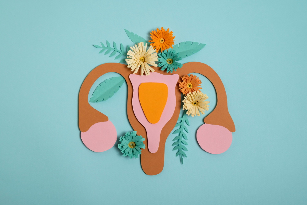 Ilustrasi organ kewanitaan