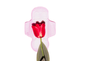 Blog 19 top view sanitary towel with flowers removebg preview