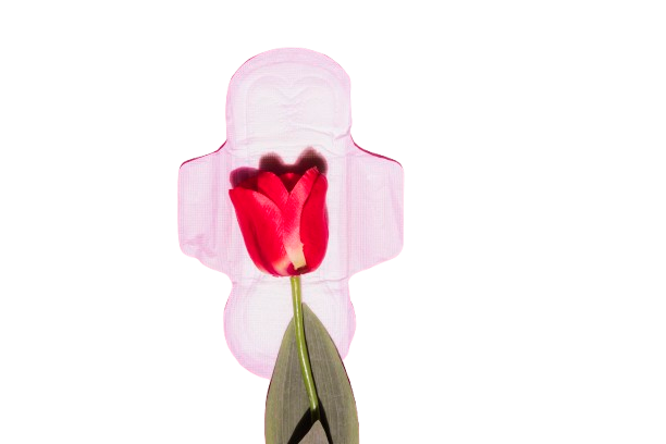 Mengenal Menstruasi beserta 6 Fakta dan Mitosnya, Wajib Tahu!